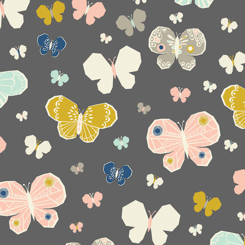 Dashwood ? September Blue : BUTTERFLIES
