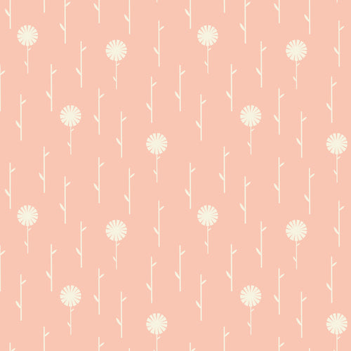 Dashwood ? September Blue : PINK FLORAL