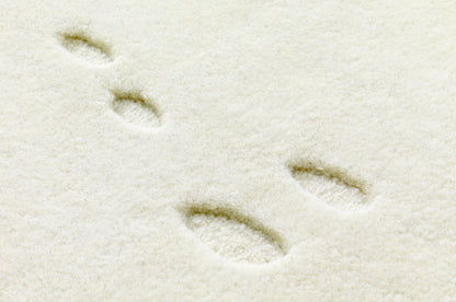 Stories - SILENCE RUG